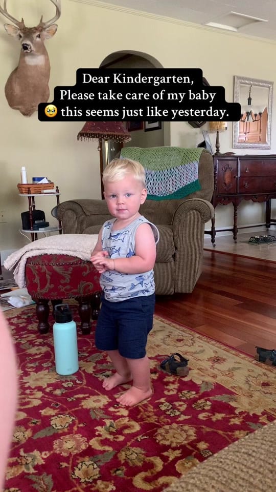 Post 6 by Ashley Muhleman on TikTok (video)
