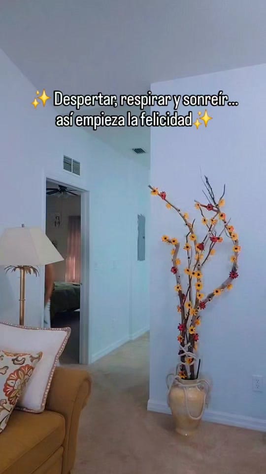 Post 9 by LAPELUSASC🇨🇺🌈🇺🇸🌷 on TikTok (video)