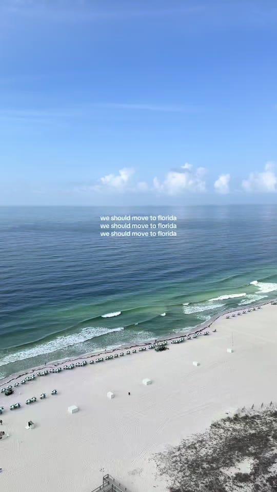Post 8 by montana embry on TikTok (video)
