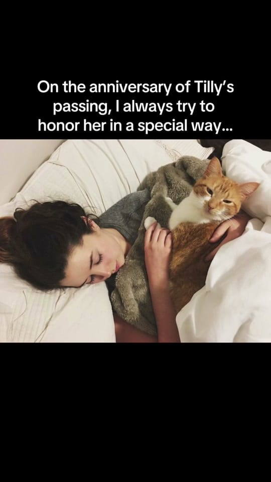 Post 8 by Lauren Smith Kennedy on TikTok (video)