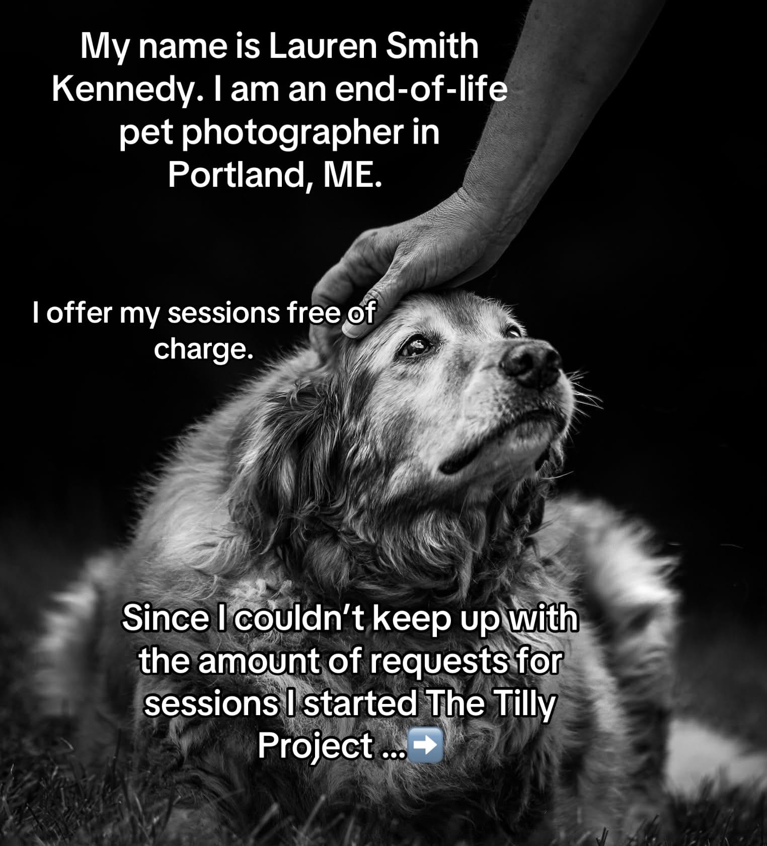 Post 10 by Lauren Smith Kennedy on TikTok (video)