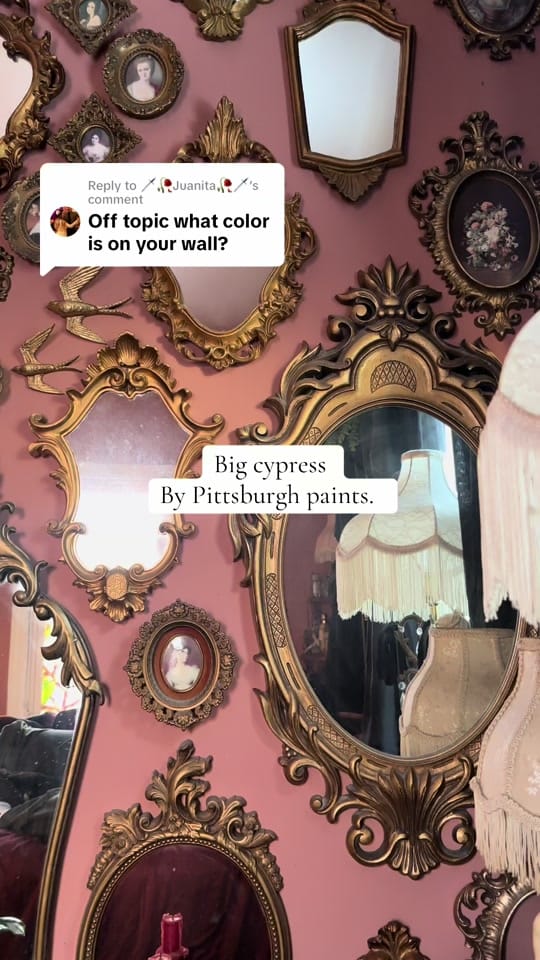 Post 4 by House.of.Adri on TikTok (video)