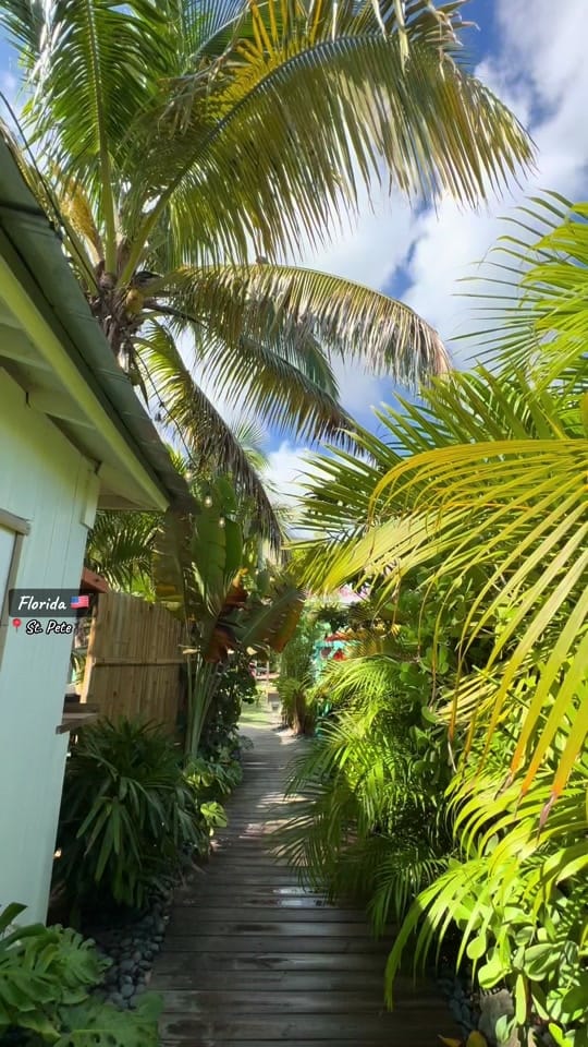 Post 10 by crisanta.pirlici on TikTok (video)