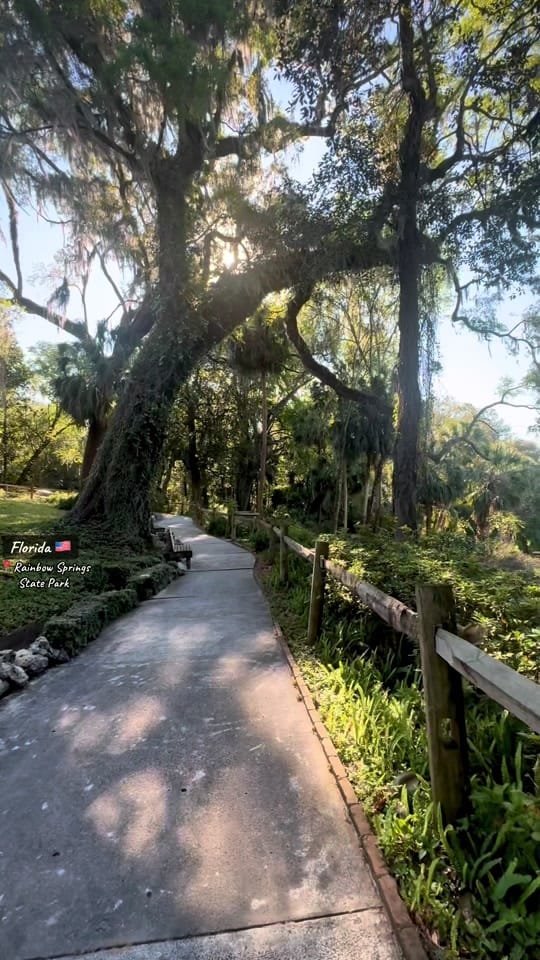 Post 8 by crisanta.pirlici on TikTok (video)