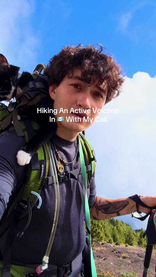 Post 8 by Ace & Joji on TikTok (video)