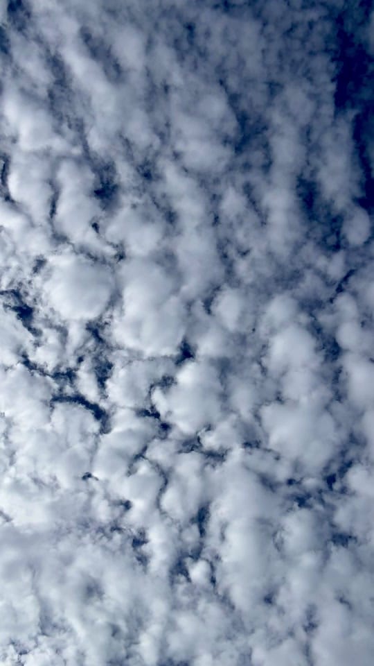 Post 1 by Zarmina Bashir on TikTok (video)