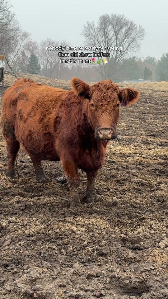 Post 5 by Kennedy Duax on TikTok (video)