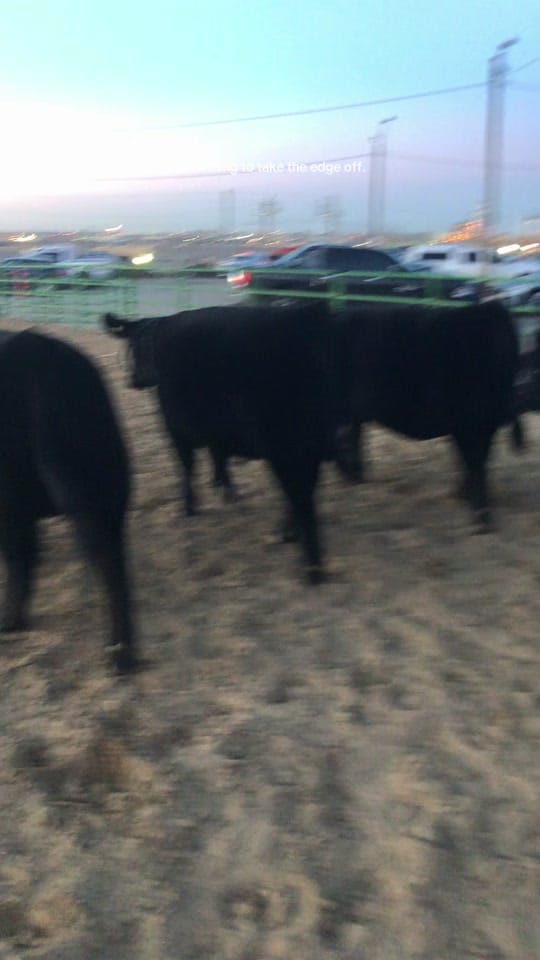 Post 6 by Kennedy Duax on TikTok (video)