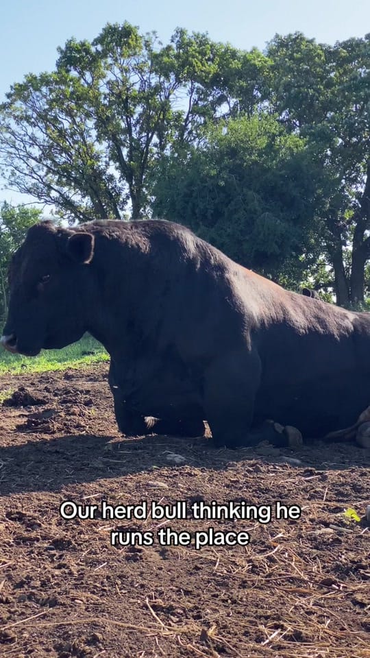 Post 8 by Kennedy Duax on TikTok (video)