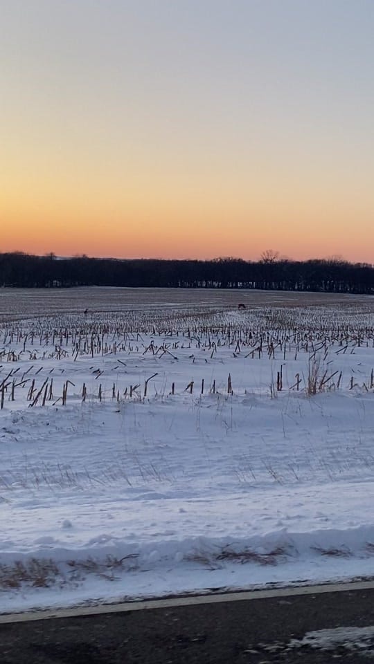 Post 7 by KSOutdoors🦆 on TikTok (video)