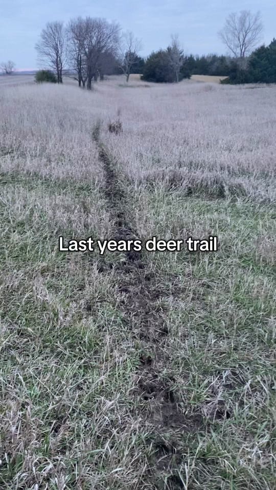 Post 10 by KSOutdoors🦆 on TikTok (video)