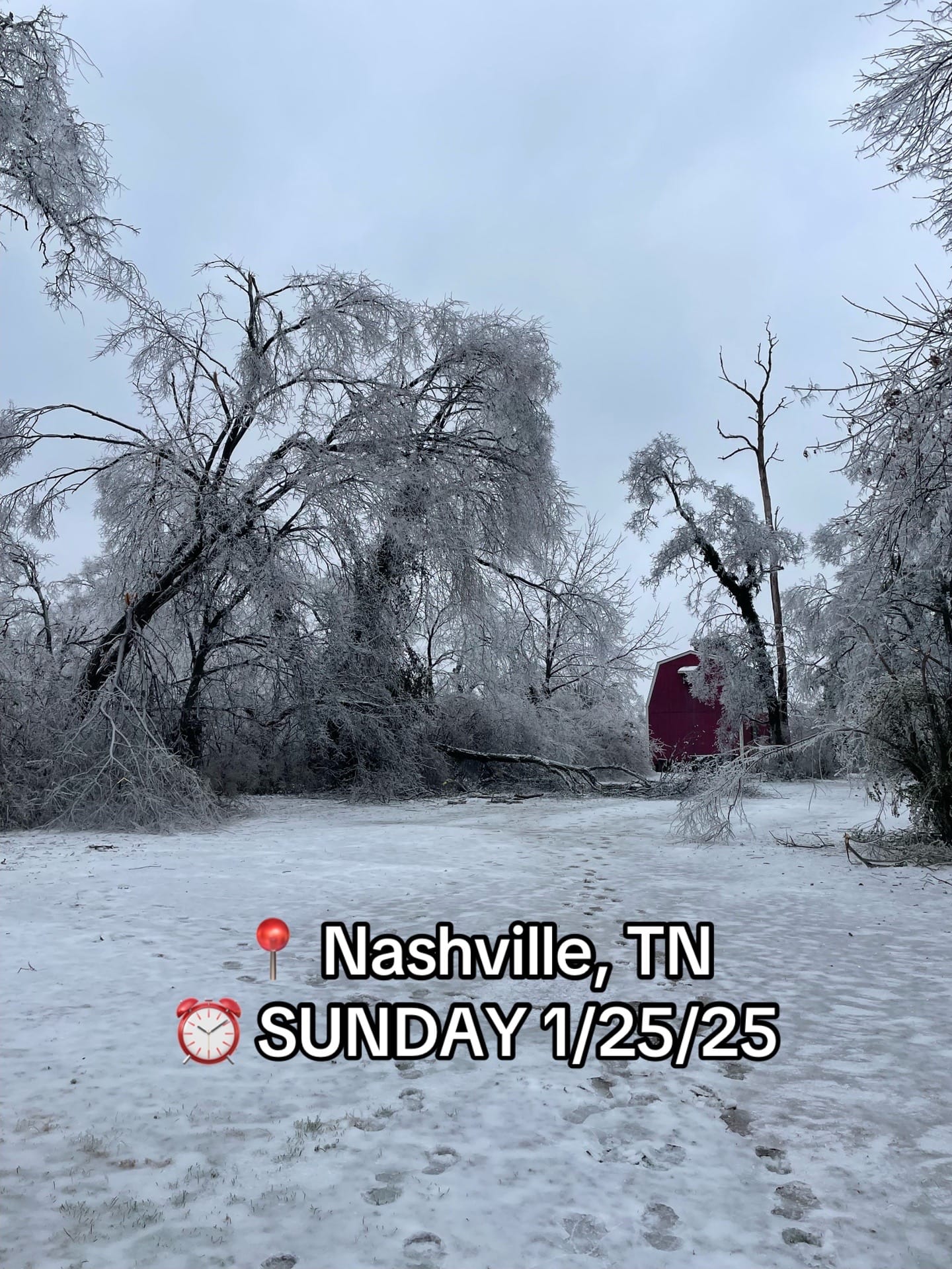 Post 4 by Madison Hardy Dennis on TikTok (video)