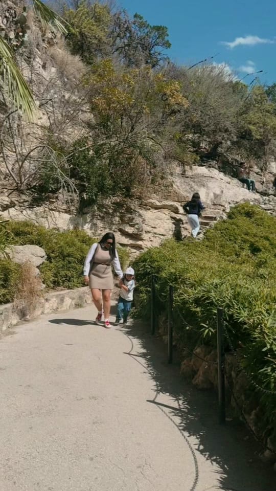 Post 1 by Catherine Wanloxten ✨ on TikTok (video)