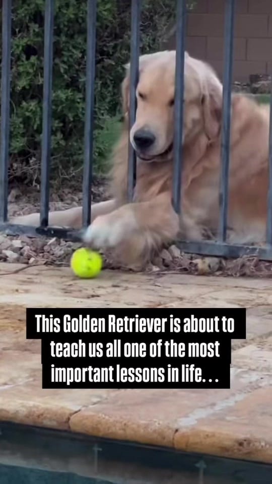 Post 8 by World's Greatest Adventures on TikTok (video)