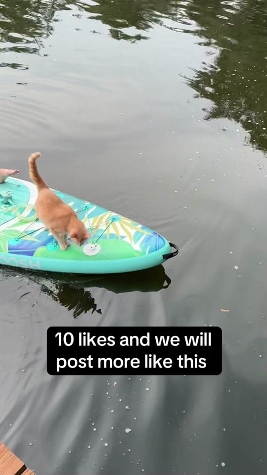 Post 7 by World's Greatest Adventures on TikTok (video)