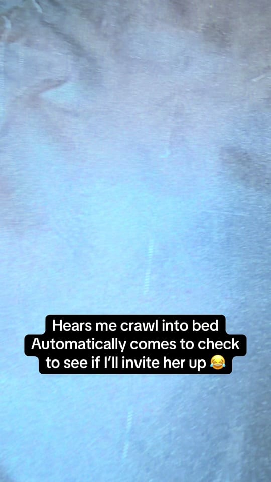 Post 4 by Oakley & Millie on TikTok (video)