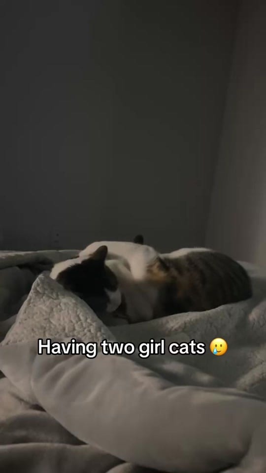 Post 2 by Gabi Mullins on TikTok (video)