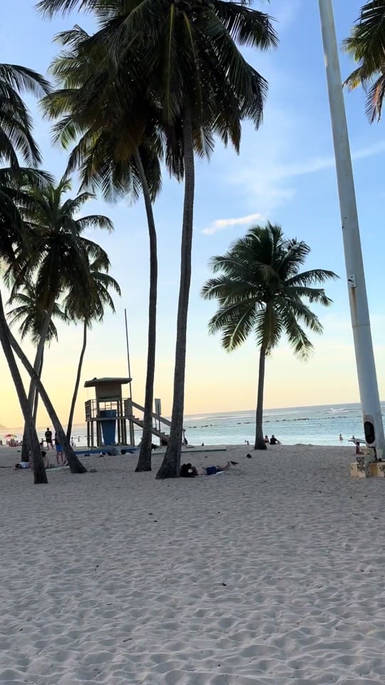 Post 10 by Chase Reeves on TikTok (video)