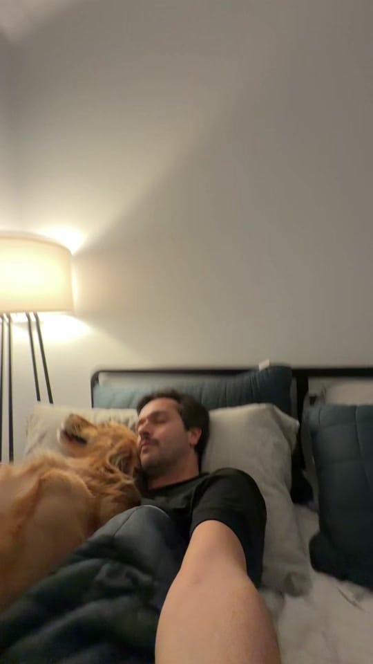 Post 2 by Ryan James on TikTok (video)
