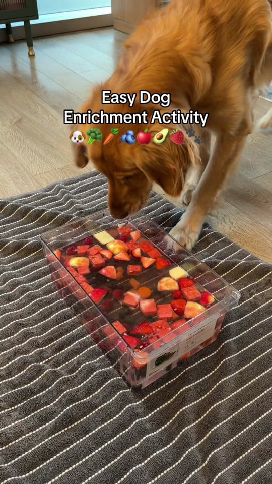 Post 3 by Ryan James on TikTok (video)