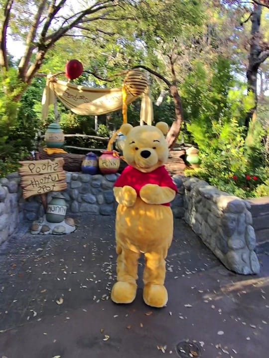 Post 9 by Square🐻 on TikTok (video)