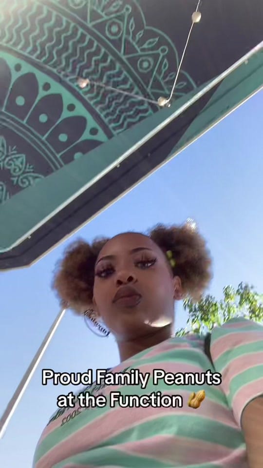 Post 9 by Lyric 🪷 ✨ on TikTok (video)