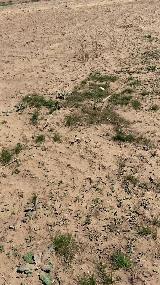 Post 6 by Brock Barber on TikTok (video)
