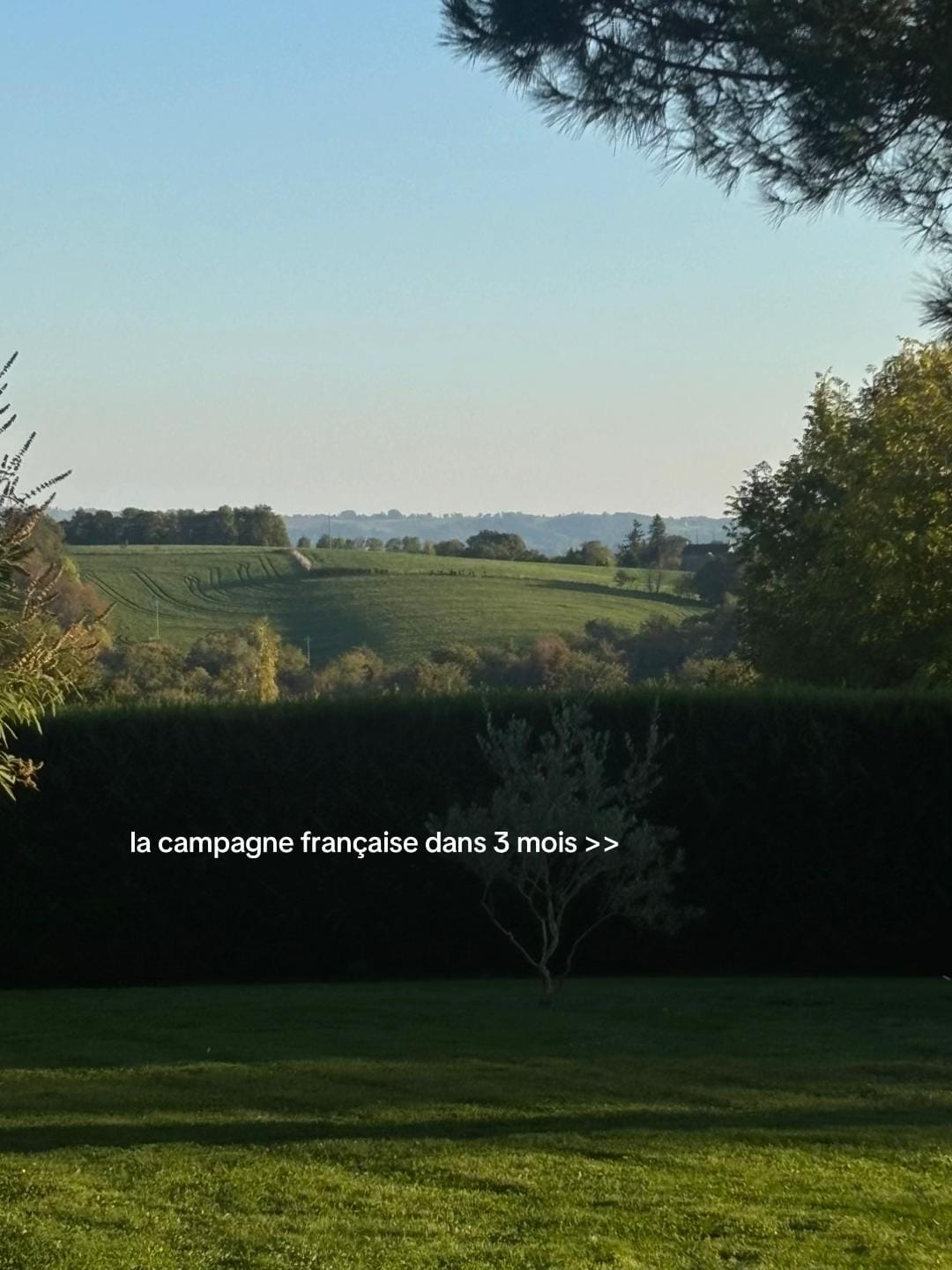 Post 3 by Léa | coomfie 🩵 on TikTok (video)