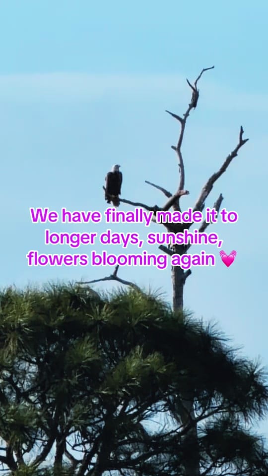 Post 2 by 90scountrybabe on TikTok (video)