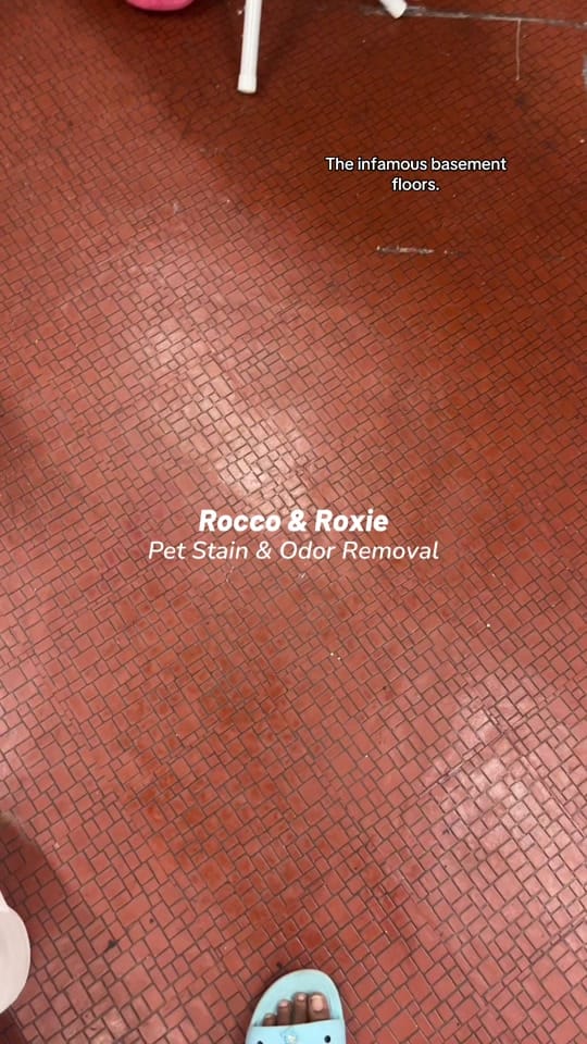 Post 6 by CrossCaptures on TikTok (video)