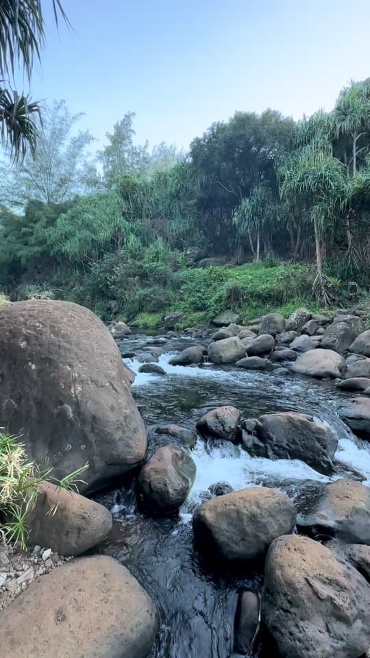 Post 1 by K_Shea on TikTok (video)