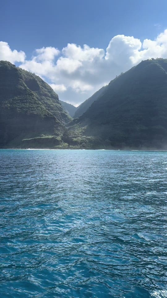 Post 5 by K_Shea on TikTok (video)