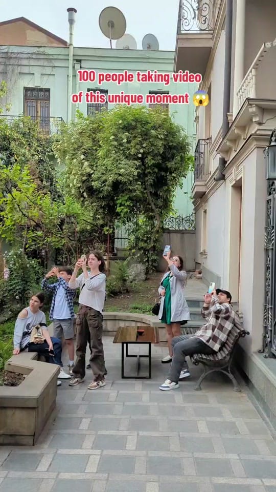 Post 9 by DaTours Georgia on TikTok (video)