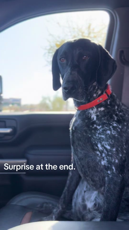 Post 1 by Troy Scott on TikTok (video)