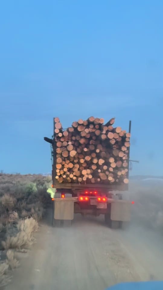 Post 3 by Troy Scott on TikTok (video)