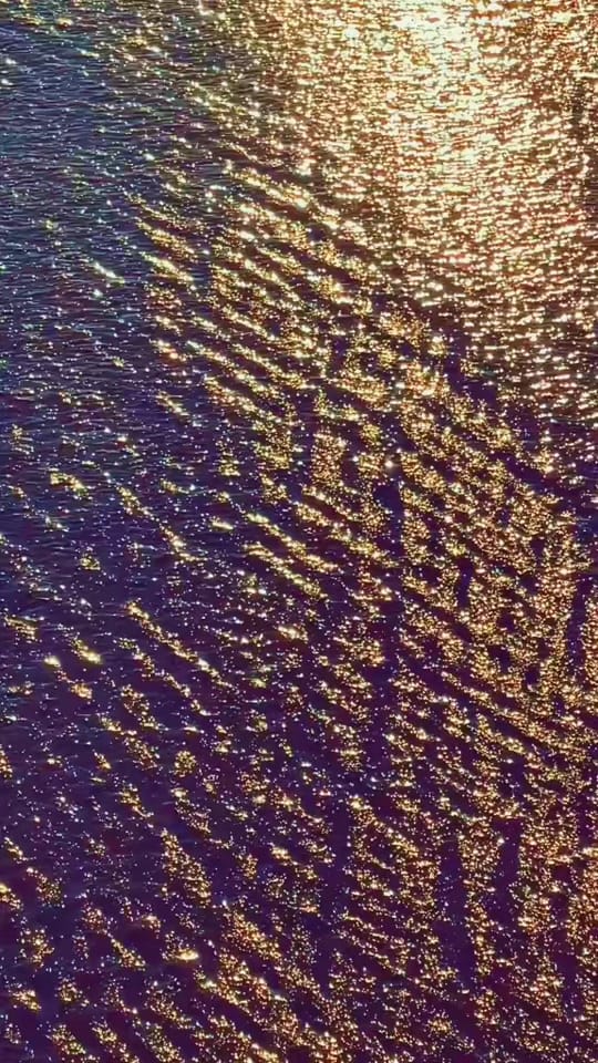 Post 7 by George Clearwater on TikTok (video)