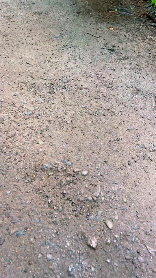 Post 10 by George Clearwater on TikTok (video)