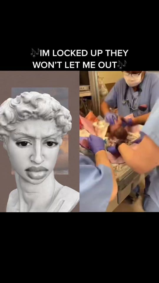 Post 10 by Raven on TikTok (video)