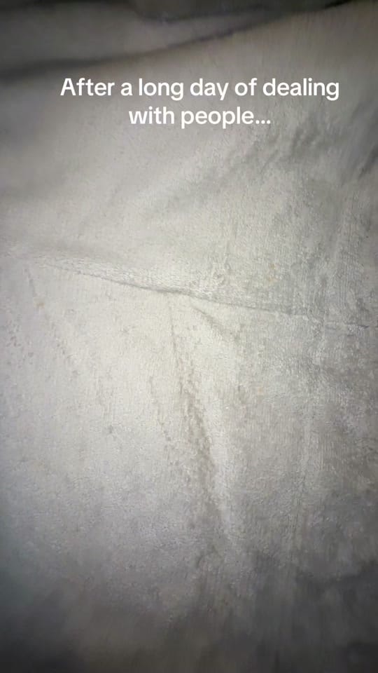 Post 1 by Raven on TikTok (video)
