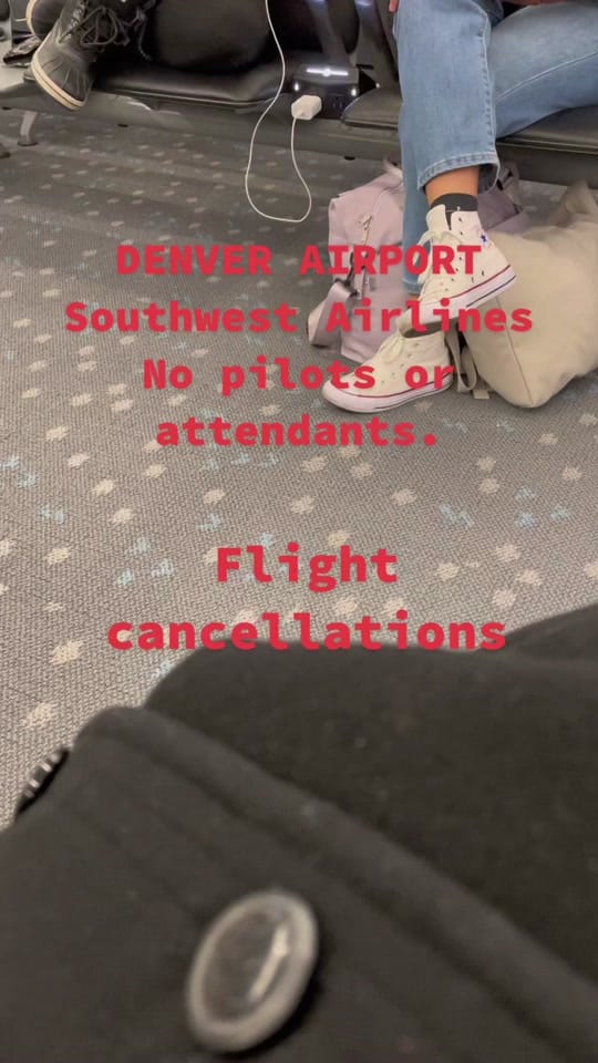Post 9 by Foxy fox on TikTok (video)