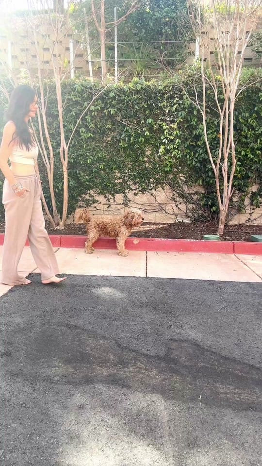 Post 1 by Chanellynn_ on TikTok (video)