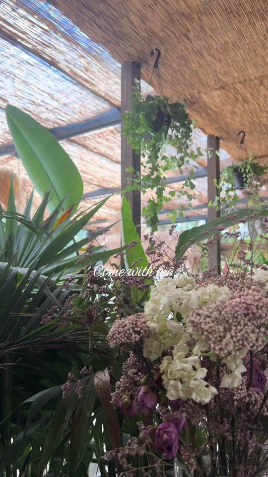 Post 7 by Erin 🦢🏰 on TikTok (video)