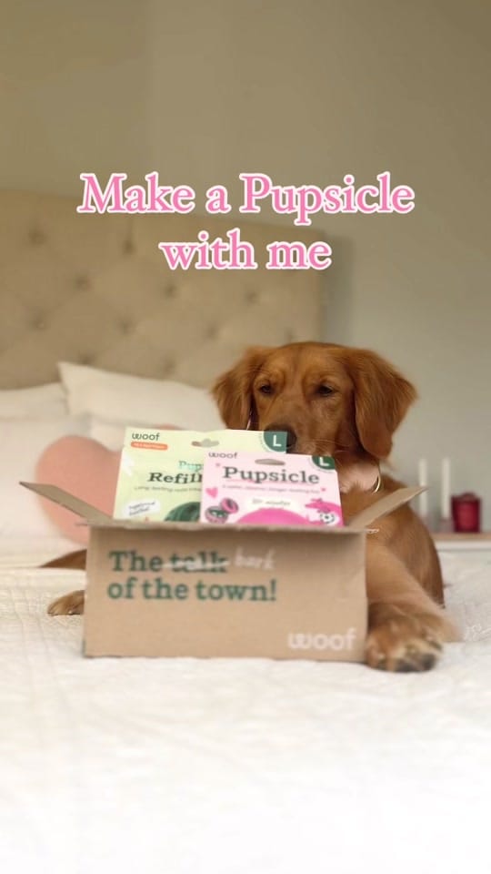 Post 6 by nelliegoldengirl on TikTok (video)
