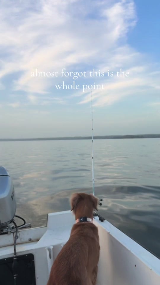 Post 5 by nelliegoldengirl on TikTok (video)