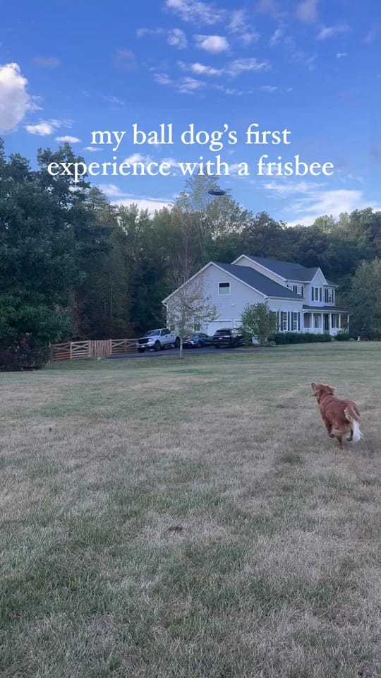 Post 9 by nelliegoldengirl on TikTok (video)