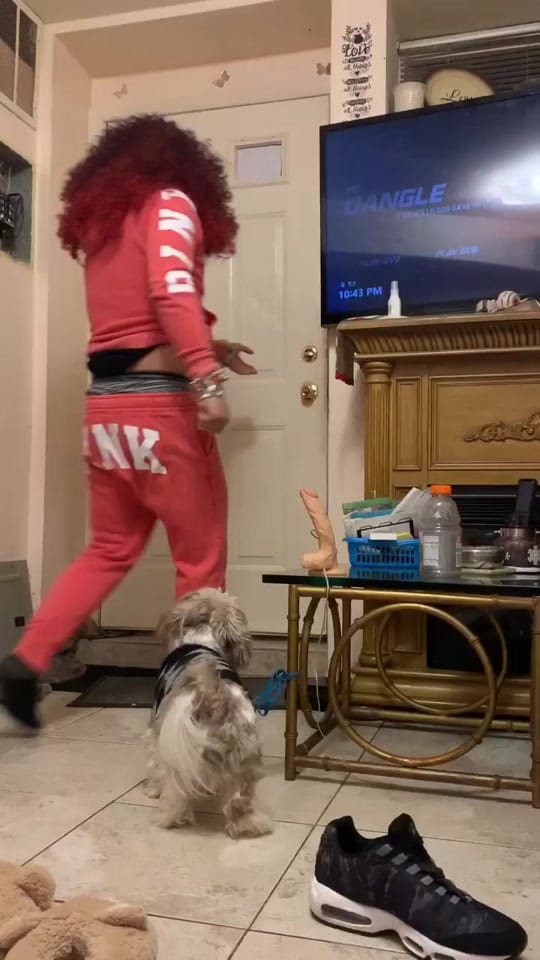 Post 5 by Joey Mollica on TikTok (video)