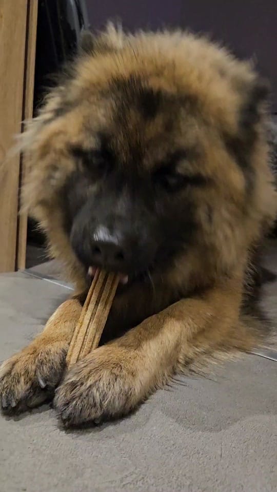 Post 9 by MGBeauty on TikTok (video)