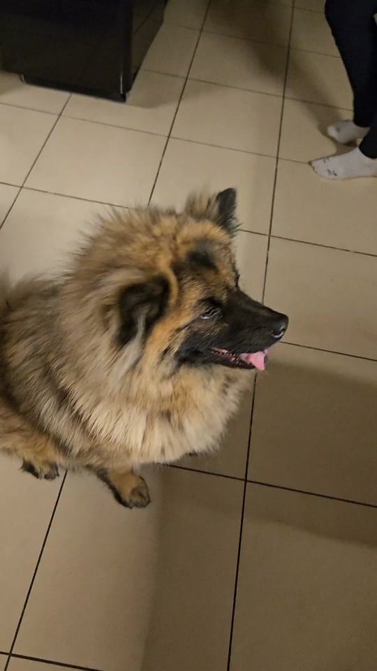 Post 6 by MGBeauty on TikTok (video)
