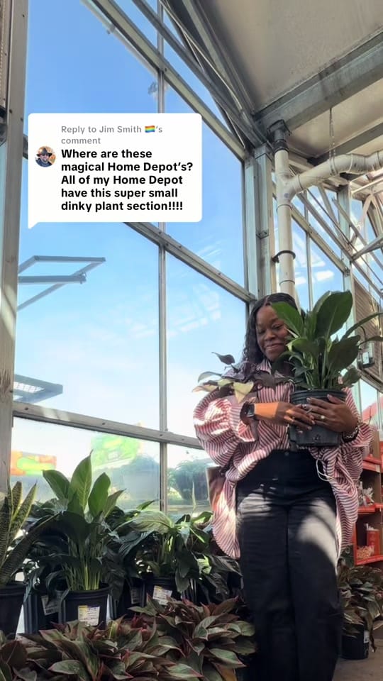 Post 2 by ♡ K.O. on TikTok (video)