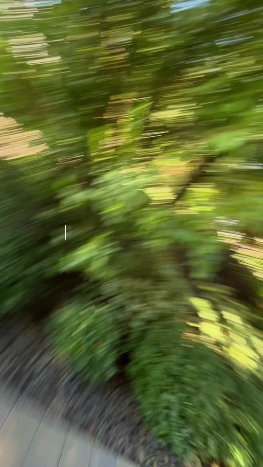 Post 8 by corrieehammond on TikTok (video)